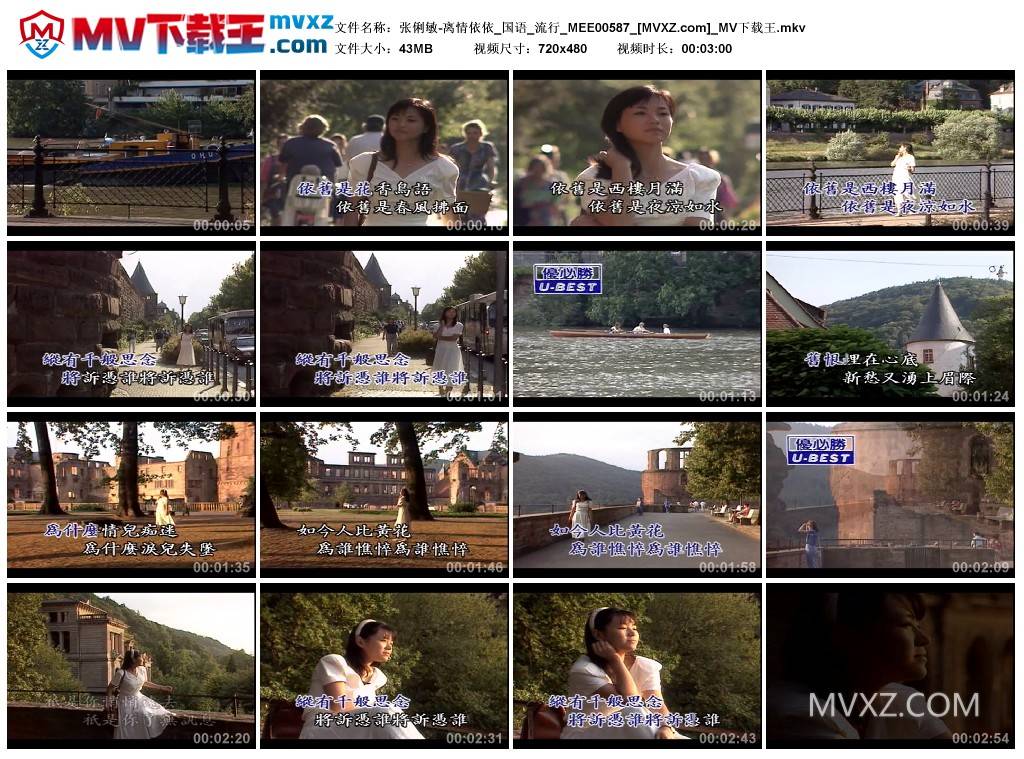 张俐敏-离情依依_国语_流行_MEE00587